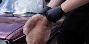 Car Wash Mitts