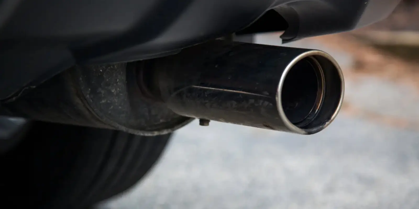 Exhaust System Choice