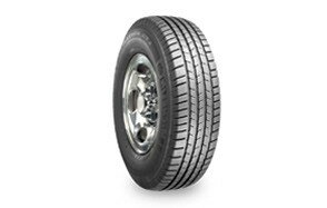 Michelin LTX Winter